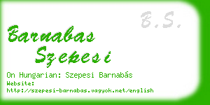 barnabas szepesi business card